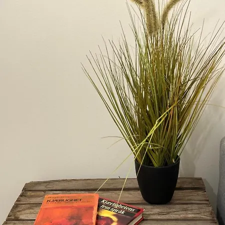 A Place To Stavanger, 1 Lägenhet Stavanger