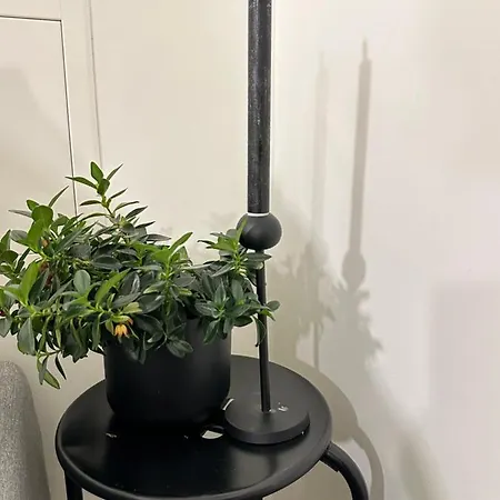 A Place To Stavanger, 1 * Stavanger